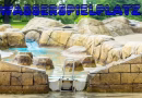 Wasserspiele