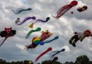Cottbuser Ostsee Drachenfest