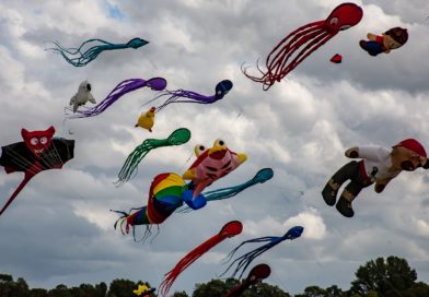 Cottbuser Ostsee Drachenfest