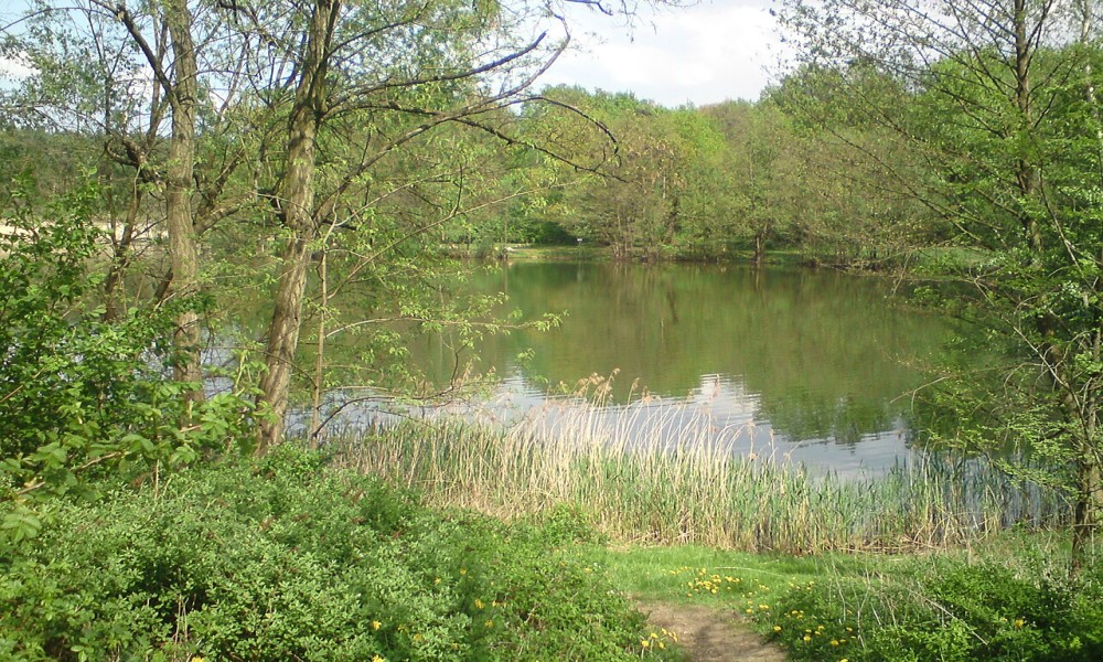 Madlower Badesee im Cottbuser Volkspark