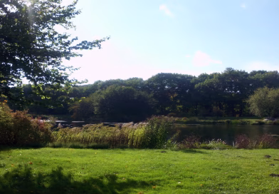 Spreeauenpark Cottbus